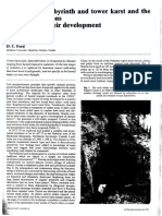 Brook, Ford - 1978 - The origin of labyrinth and tower karst and the climatic conditions necessary for their development