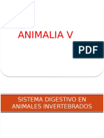 SISTEMA DIGESTIVO EN ANIMALES INVERTEBRADOS.pptx