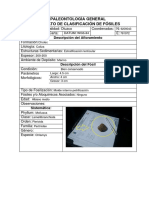 PALEONTOLOGÍA Geología Del Perú