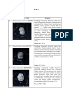 Format Analisis Fosil