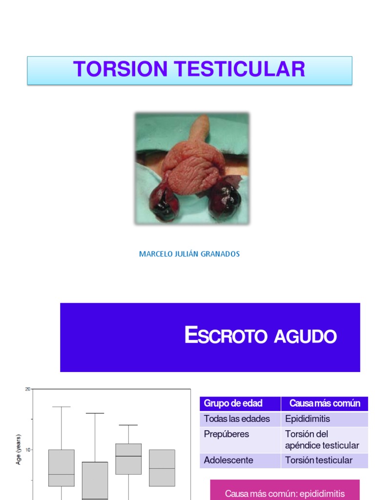 Torsion Testicular Expo PDF Rtt Especialidades Medicas