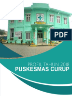 Profil Puskesmas Curup 2019 PDF