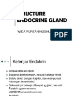 Gland Endocrine Structure - Dr. Wida