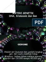 dna-kromosom-dan-gen