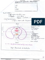 Anatomie PR Hammoudi Cardio