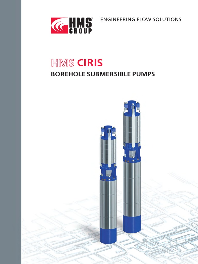 Borehole Submersible Pump Solutions | PDF | Pump | Electric Motor