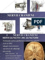 NERVII-CRANIENI