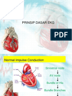 Prinsip Dasar Dan Interpretasi EKG