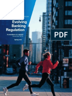 Evolving Banking Regulation Nov 2010