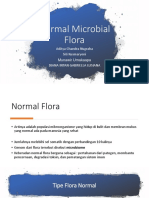 Normal Flora - PPT-Biomed