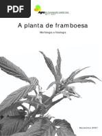 1 Framboesa.pdf