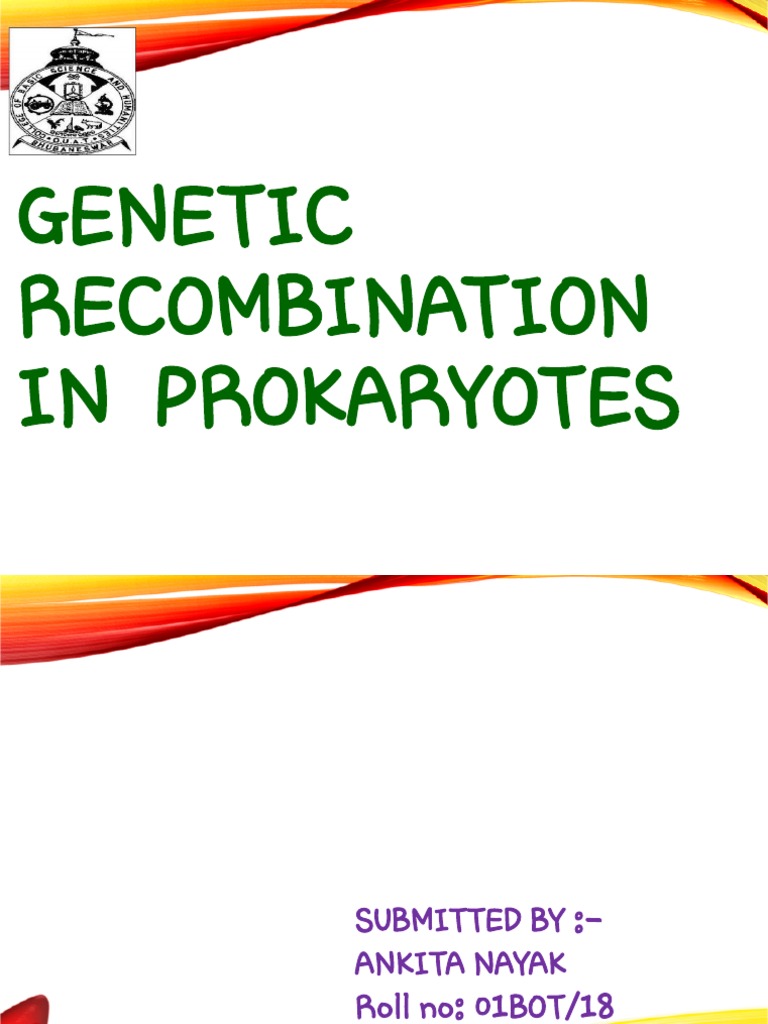 Genetic Recombination In Prokaryotes