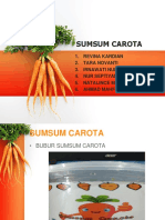 BURSUM CAROTA KEL 6 SESI 2 (Autosaved)