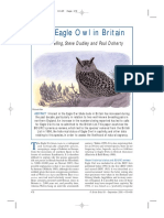 The Eagle Owl in Britain.pdf