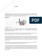 Istoria locomotivei cu abur.pdf