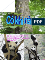 Cokhinao