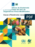 Cacao Silvestre Guatemala