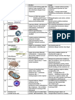 Tabelorganelsel PDF