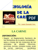 tecnologia-de-la-carne-1234756650412903-1.pdf