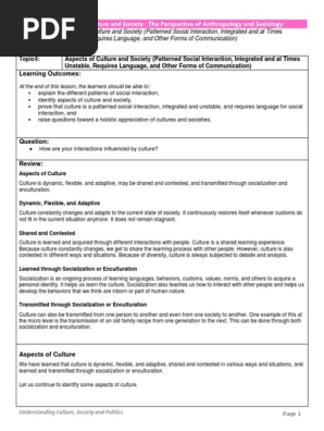 Topic 4 Patterned Social Interaction, Integrated and at Times Unstable