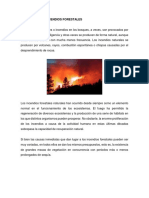 Causas de Los Incendios Forestales