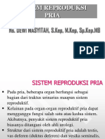 Reproduksi Pria