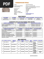 CURRICULUM VITAE doc
