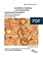 Larger Foraminifera Catalog On Member of Calcarenite Pamutuan Formation