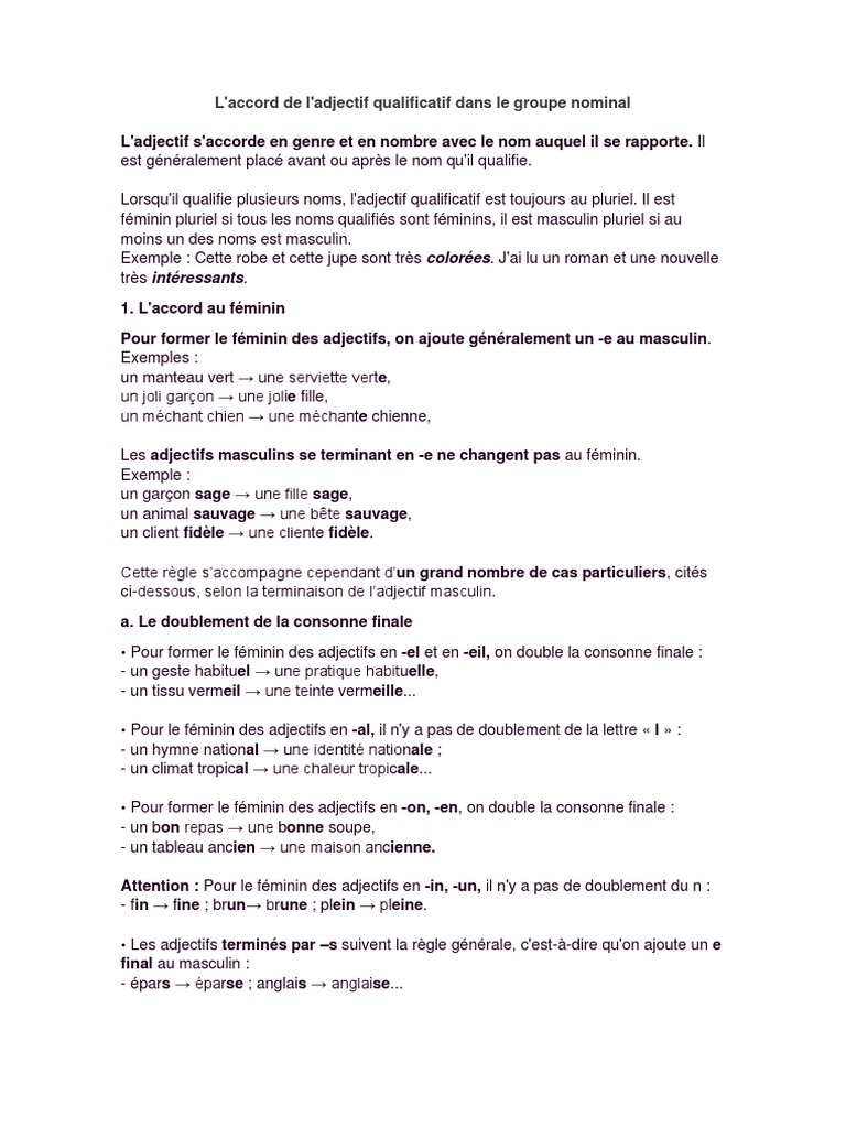 Adjectifs Explication De L Accord Pdf Genre Grammatical Nombre Grammatical