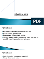 Pewarnaan-1