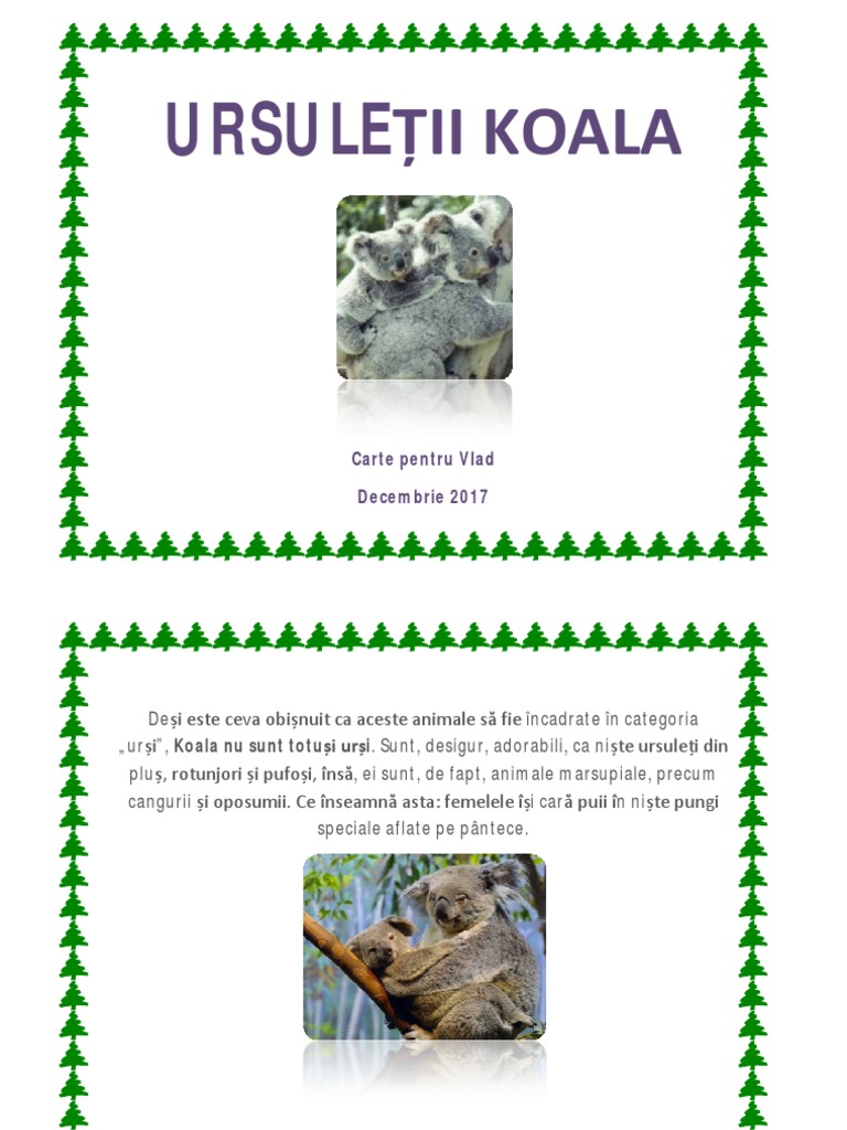 KOALA | PDF