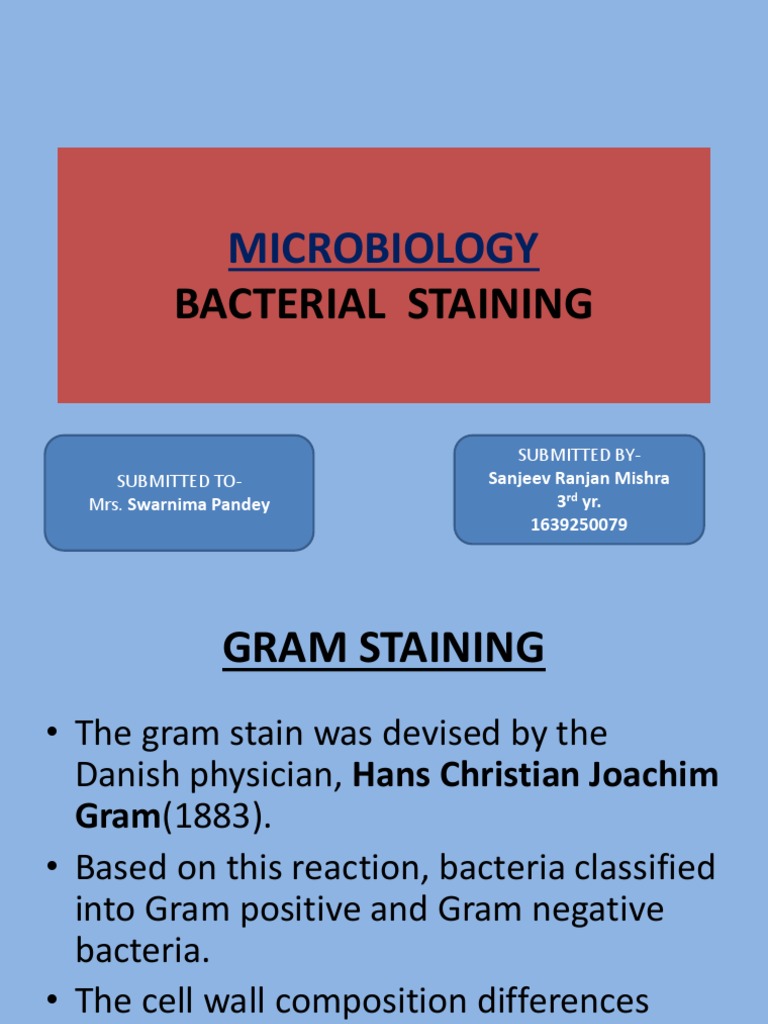 Bacterial Staining | PDF | Gram Positive Bacteria | Staining