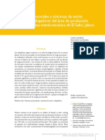 Dialnet-FactoresPsicosocialesYSintomasDeEstresLaboralEnTra-5969552.pdf
