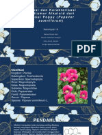 Isolasi dan Karakterisasi Antitumor Alkaloid dari Kapsul Poppy (Papaver somniferum)