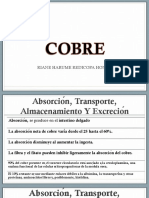 Documento NUTRICION ?