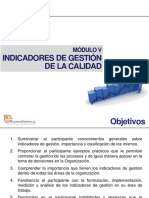 Manual Indicadores de Gestion PDF