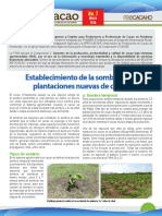 InfoCacao No7 Mar 2016 PDF
