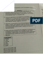 Ser Social y Sociedad Modulo 04 Examen PDF