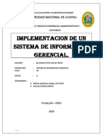 SISTEMA-DE-INFORMACION-GERENCIAL-2