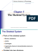 Notes Skeletal System