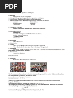 Lesson Plan - Relations and Functions | PDF | Function (Mathematics ...