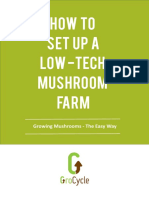 How To Set Up A Low-Tech Mushroom Farm