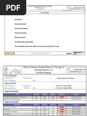 Monthly Report