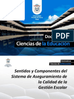 SENTIDOS Y COMPONENTES DEL SISTEMA DE ASEG.pdf