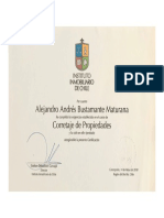 Diploma Instituto Inmobiliario Curso Corretaje de Propiedades Alejandro Bustamante