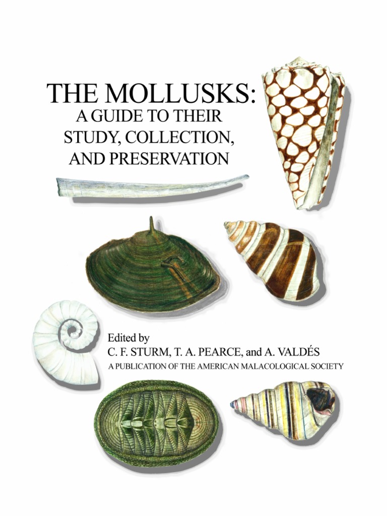 The Mollusks Mollusca Bivalvia