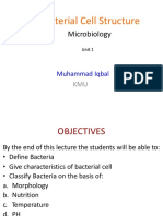 Bacteria (Unit-I) (7 Files Merged)