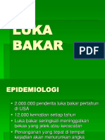 Btls-Luka Bakar