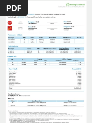 Your Flight Ticket