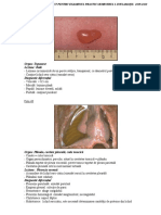 Handout Inflamatii Pentru Examenul Practic 2019-2020